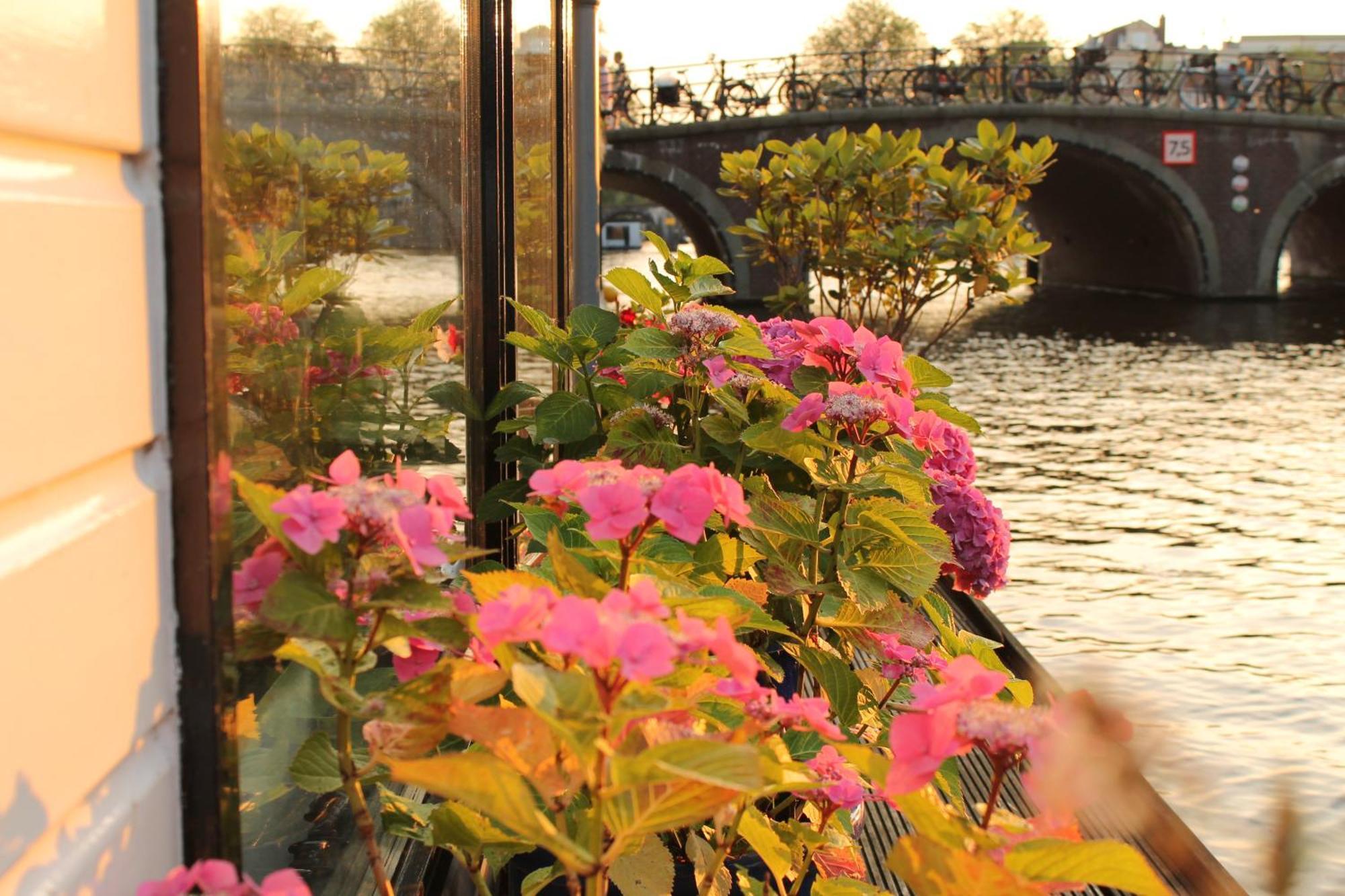 Houseboat Orpheus Bed & Breakfast Amsterdam Ngoại thất bức ảnh